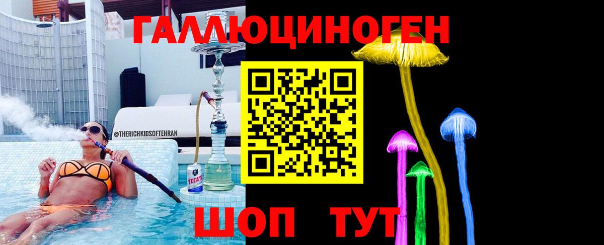 Алушта  Псилоцибиновые грибы Cubensis  Вход с VPN 